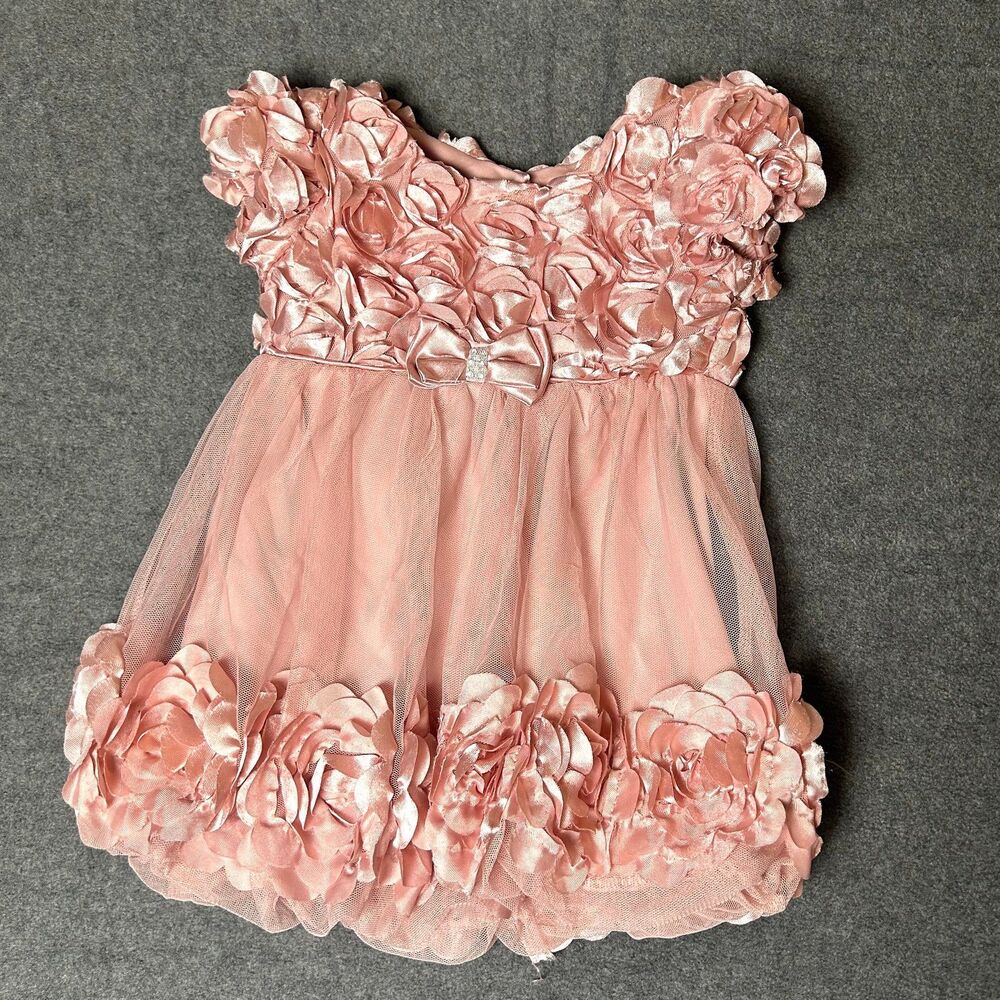 Nannette Rose Dress Pink Baby Girl Size 10M Fancy Dress
